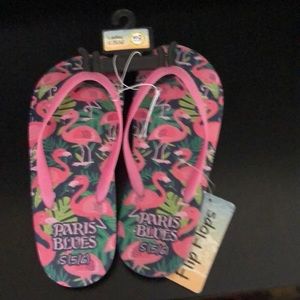 Paris Blues Pink Swans/Tropical Footing Flip Flops